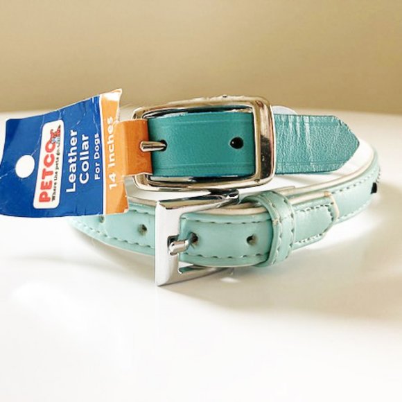 New 14" Teal Dog Collar W? Diamond Studs - Picture 2 of 2